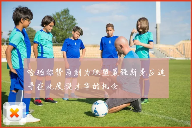 哈珀称赞马刺为联盟最强新秀应追寻在此展现才华的机会