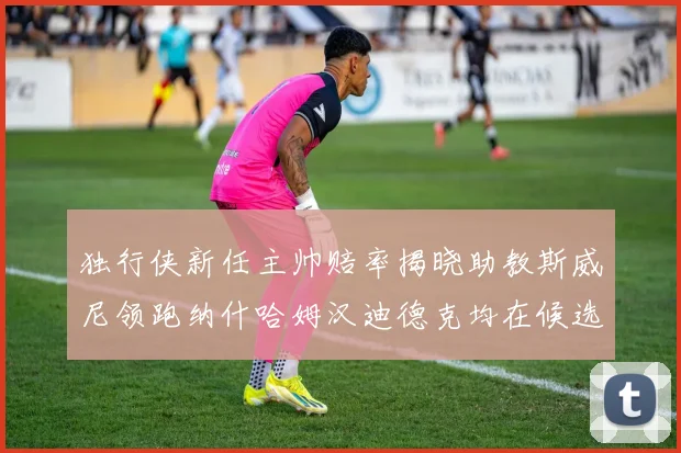 独行侠新任主帅赔率揭晓助教斯威尼领跑纳什哈姆汉迪德克均在候选之中