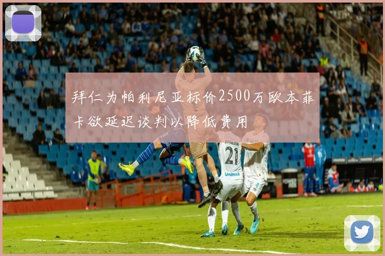 拜仁为帕利尼亚标价2500万欧本菲卡欲延迟谈判以降低费用